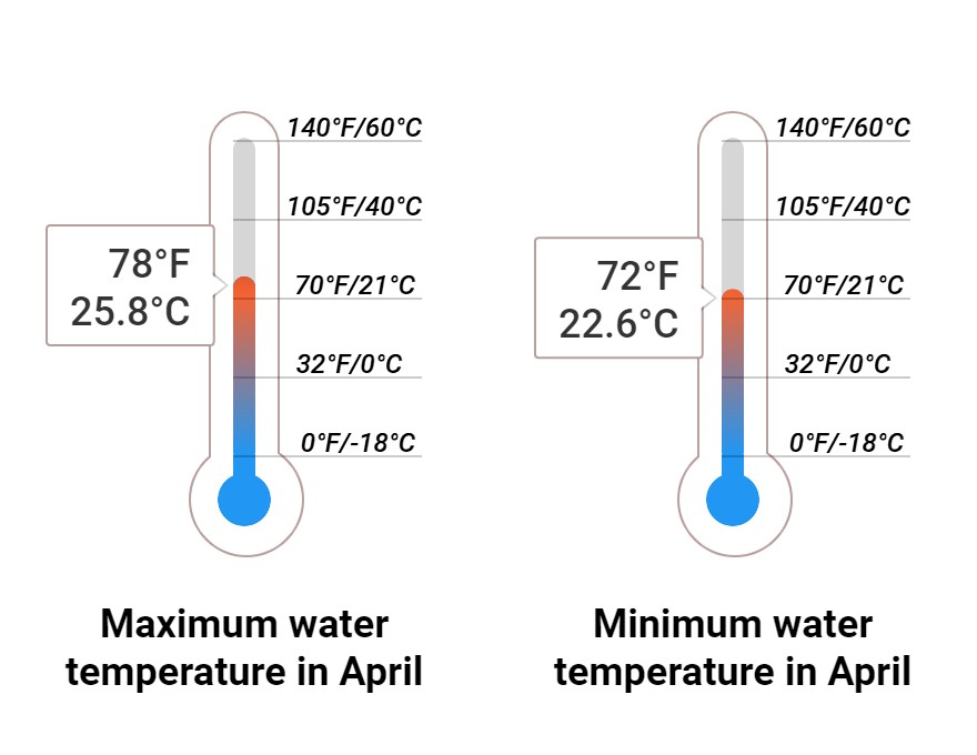 Average Sea temperature